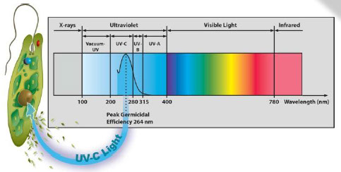 available, optional UV light disinfection